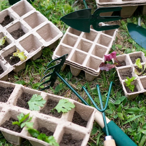 Popieriniai vazonėliai 4 x 4 x 4,5, rinkinys 5 vnt. - 5