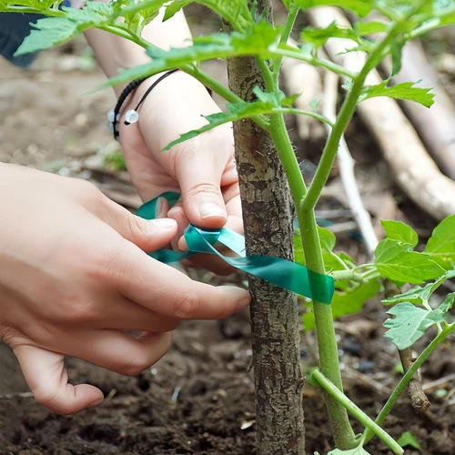 PVC juosta augalams rišti, 1,2 cm x 40 m - 4