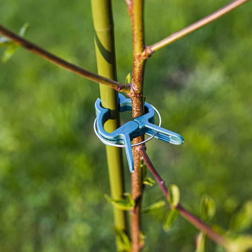 Segtukai augalams tvirtinti 20 vnt. (8x dideli/12x maži) - 7