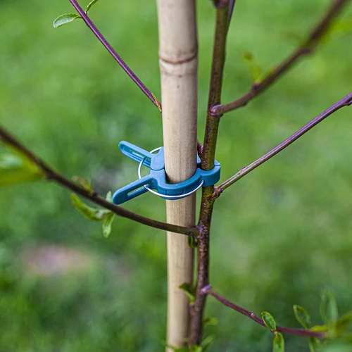 Segtukai augalams tvirtinti 20 vnt. (8x dideli/12x maži) - 8