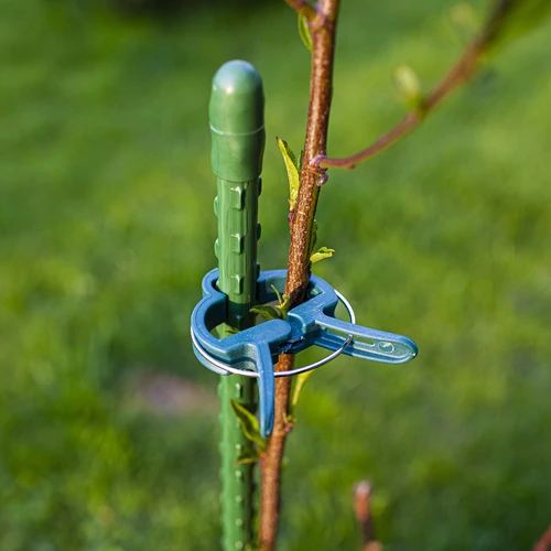 Segtukai augalams tvirtinti 20 vnt. (8x dideli/12x maži) - 9