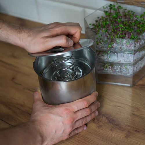 Šinkovaras – Šeimos puota 3 kg - 12