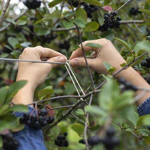 Sisalio virvė 1,8 mm/40 m/100 g - 7