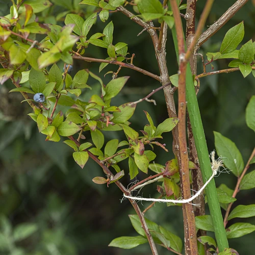 Sisalio virvė 1,8 mm/40 m/100 g - 8