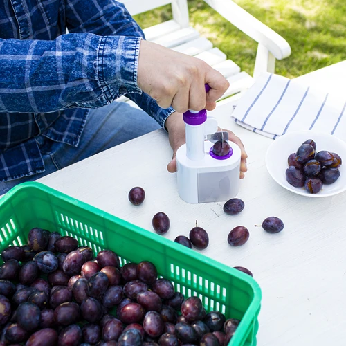 Slyvų kauliukų išėmėjas - 4