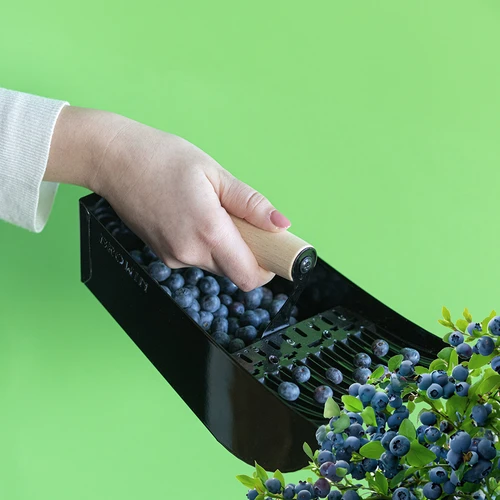 Smulkių vaisių rinktuvas, metalinis, juodas - 8
