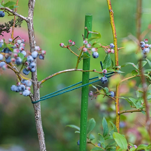 Sodo atraminiai kuolai Bioogród – dengti plieniniai, 0,9 m, Ø 8 mm, 10 vnt. - 5