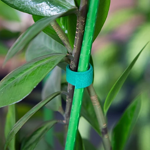 Sodo juosta su lipuku, žalia, 15 mm x 5 m - 4