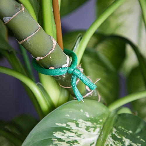 Sodo viela su porolono apvalkalu, žalia, 10 m, Ø 10 mm - 5