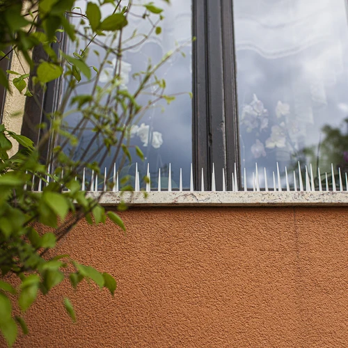 Spygliai nuo paukščių - 40x9x8,5cm, 3 vnt. - 3