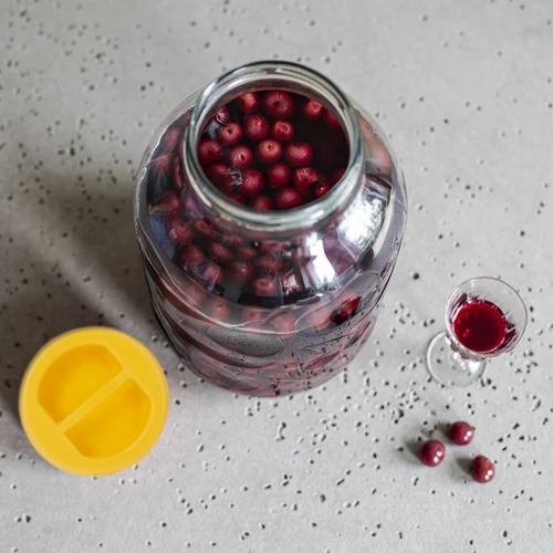 Stiklainis TO 5 L ir dangtelis iš plastiko Ø 100, su rankena - 6