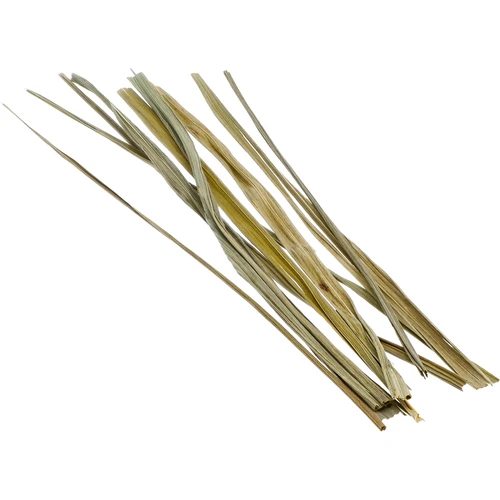 Stumbro žolė - kvapioji šventžolė 12 vnt. / 4 l - 4