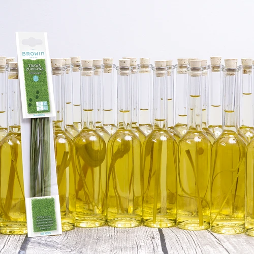 Stumbro žolė - kvapioji šventžolė 12 vnt. / 4 l - 8