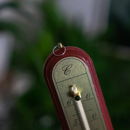 Termometr pokojowy ze złotą skalą (-10°C do +60°C) 28cm mix - 7