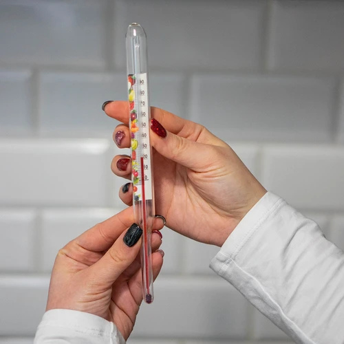 Termometras konservavimui (0 °C iki +100 °C) 22 cm - 5
