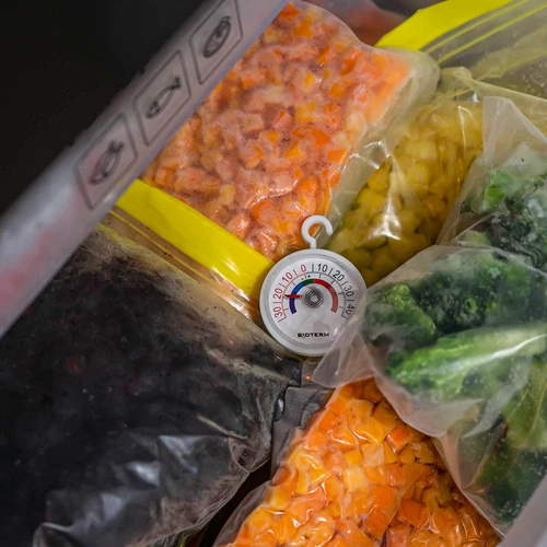 Termometras šaldytuvams ir šaldikliams (-35 °C iki +45 °C) Ø 5 cm - 5