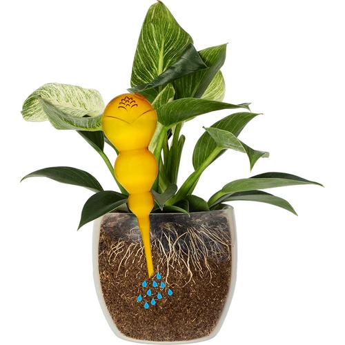 Trigubas (trijų kamerų) laistymo burbulas, permatomas geltonas, 600 ml - 3