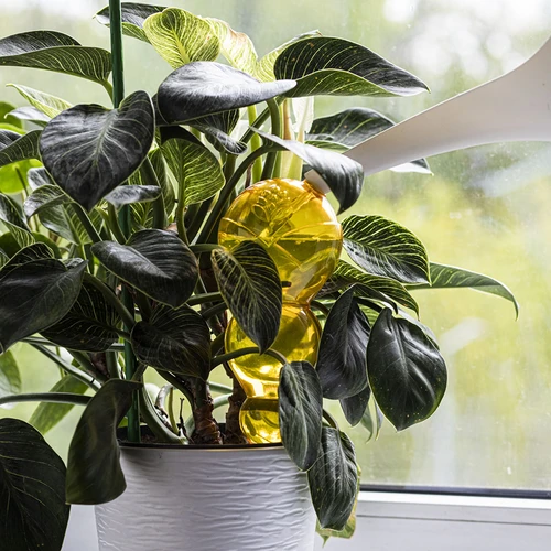 Trigubas (trijų kamerų) laistymo burbulas, permatomas geltonas, 600 ml - 6