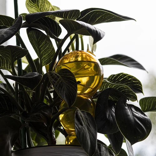 Trigubas (trijų kamerų) laistymo burbulas, permatomas geltonas, 600 ml - 7