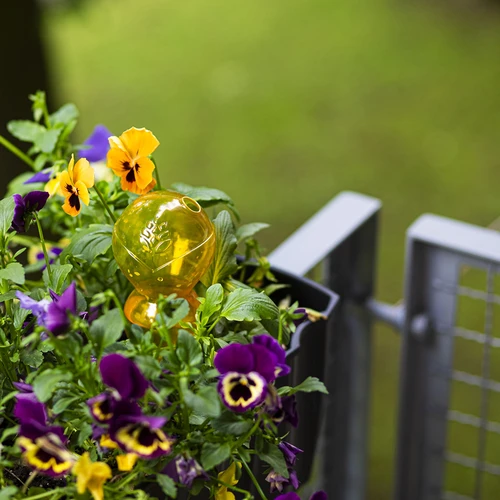 Trigubas (trijų kamerų) laistymo burbulas, permatomas geltonas, 600 ml - 8