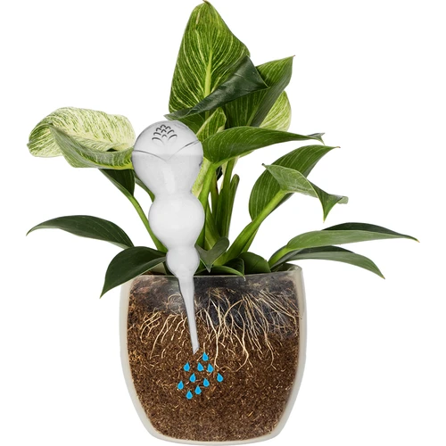 Trigubas (trijų kamerų) laistymo burbulas, skaidrus, bespalvis, 600 ml - 3