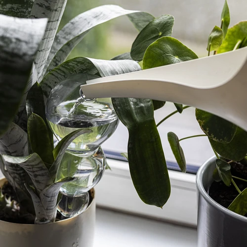 Trigubas (trijų kamerų) laistymo burbulas, skaidrus, bespalvis, 600 ml - 6