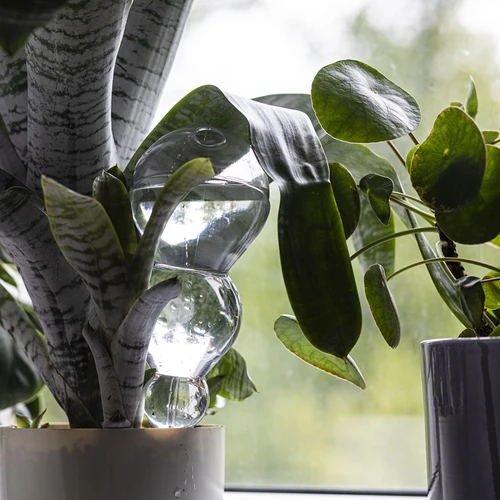 Trigubas (trijų kamerų) laistymo burbulas, skaidrus, bespalvis, 600 ml - 7