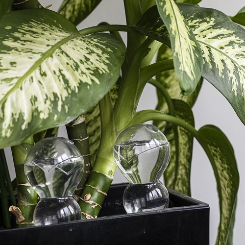 Trigubas (trijų kamerų) laistymo burbulas, skaidrus, bespalvis, su keraminiu smaigaliu, 600 ml - 8