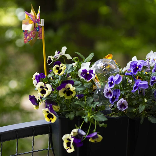 Trigubas (trijų kamerų) laistymo burbulas, skaidrus, bespalvis, su keraminiu smaigaliu, 600 ml - 9