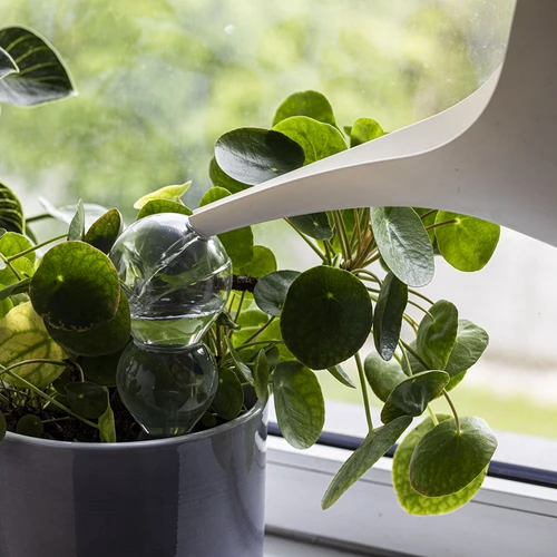 Trigubas (trijų kamerų) laistymo burbulas, skaidrus, bespalvis, su keraminiu smaigaliu, 600 ml - 6