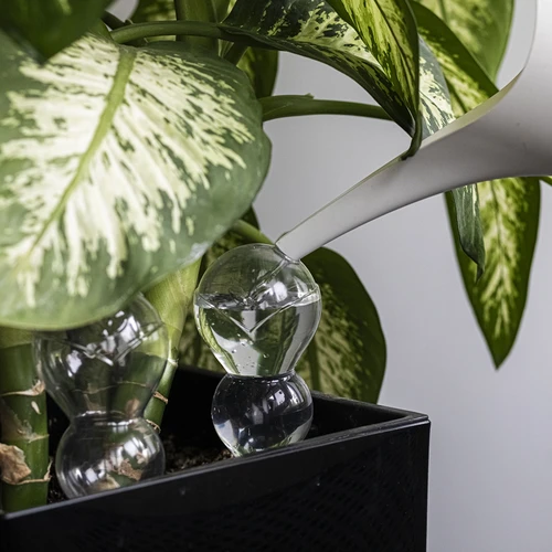 Trigubas (trijų kamerų) laistymo burbulas, skaidrus, bespalvis, su keraminiu smaigaliu, 600 ml - 7