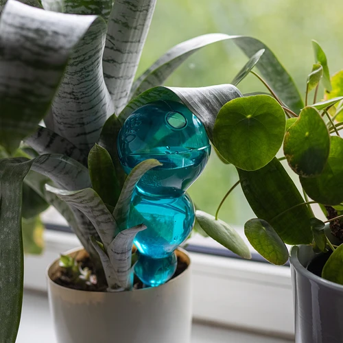 Trigubas (trijų kamerų) laistymo kamuolys, permatomas mėlynas, 600 ml - 6