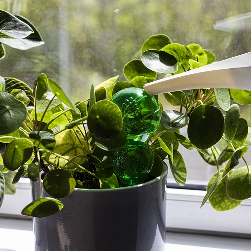 Trigubas (trijų kamerų) laistymo kamuolys, skaidrus žalias, 600 ml - 6