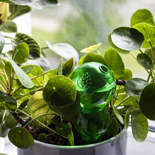 Trigubas (trijų kamerų) laistymo kamuolys, skaidrus žalias, 600 ml - 7