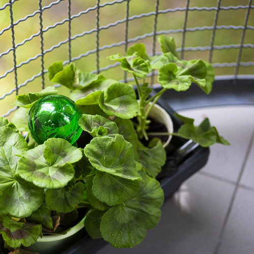 Trigubas (trijų kamerų) laistymo rutulys, skaidriai žalias, su keraminiu smaigu, 600 ml - 9