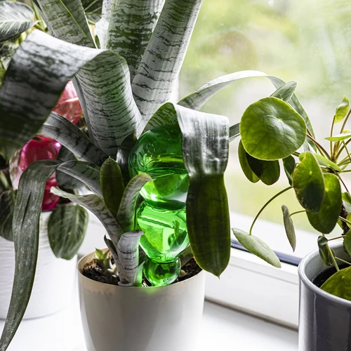 Trigubas (trijų kamerų) laistymo rutulys, skaidriai žalias, su keraminiu smaigu, 600 ml - 8