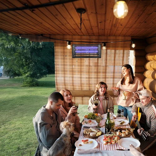 UVA vabzdžių naikinimo lempa, 20 W, juoda - 9