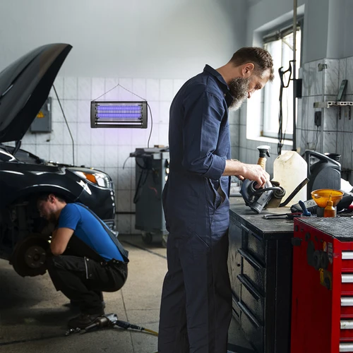 UVA vabzdžių naikinimo lempa, 20 W, juoda - 11