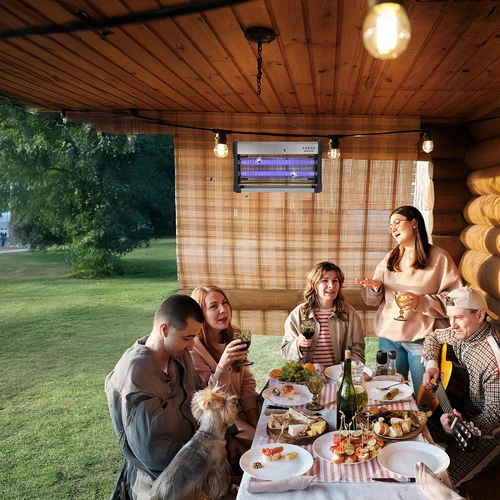 UVA vabzdžių naikinimo lempa, 40 W, sidabrinė - 9