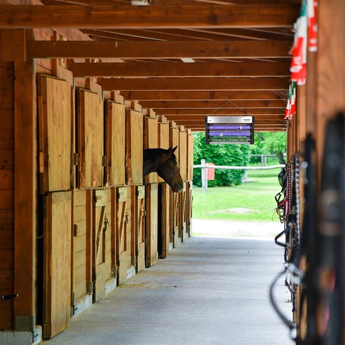 UVA vabzdžių naikinimo lempa, 40 W, sidabrinė - 11