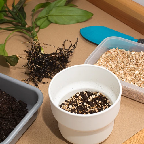 Vermikulitas vazoniniams augalams ir sodininkystei, 2 L - 7