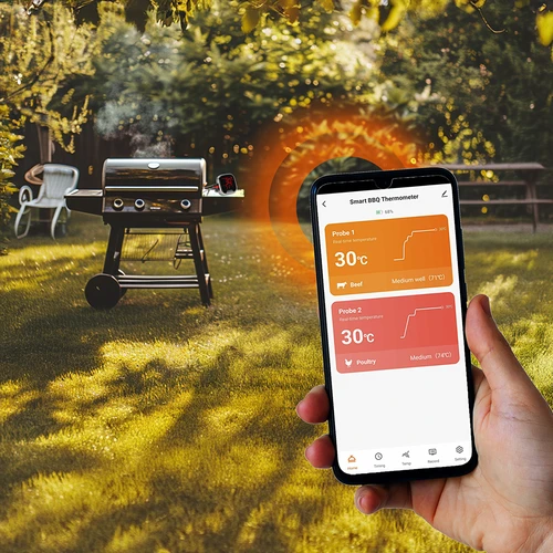 Virtuvinis termometras su Bluetooth, 2 zondai - 12