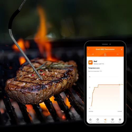 Virtuvinis termometras su Bluetooth, 2 zondai - 13