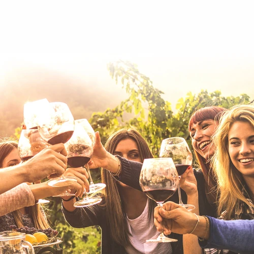 Vyno gamybos rinkinys 15 l su stikliniu balionu - 15