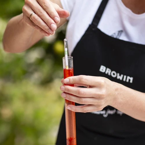 Vyno matuoklis (cukromatis) - cukraus koncentracijos matavimas - 6