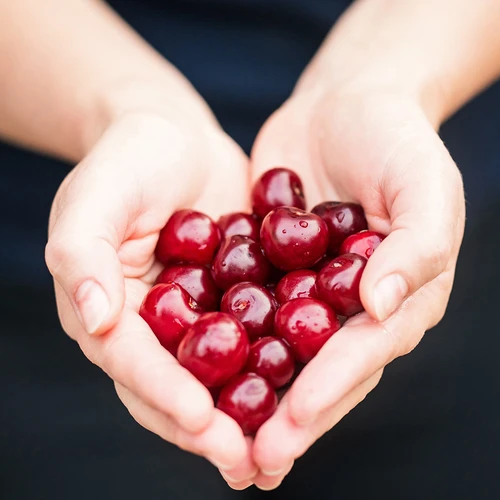 Vyšnių ir trešnių kauliukų išėmėjas (pakuotė – plėvelėje) - 7