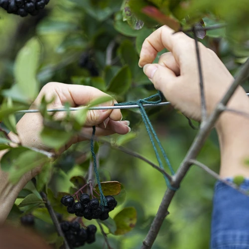 Žalia medvilninė virvelė 2 mm/55 m/100 g - 7