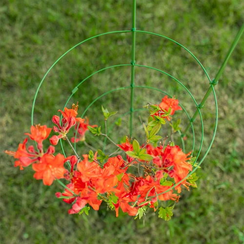 Žiedinė atrama augalams 3 žiedai 0,7 m - 5