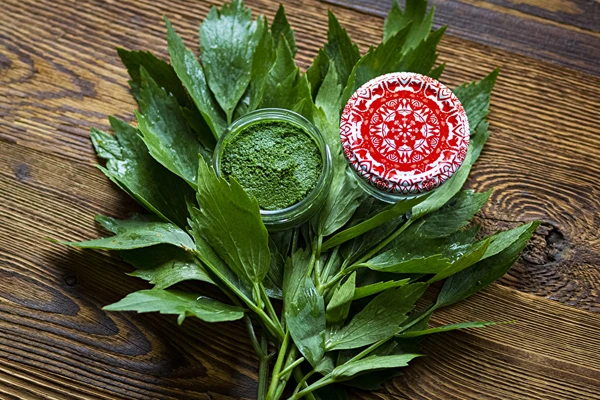 Gelsvės pasta — naminis MAGGI prieskonis