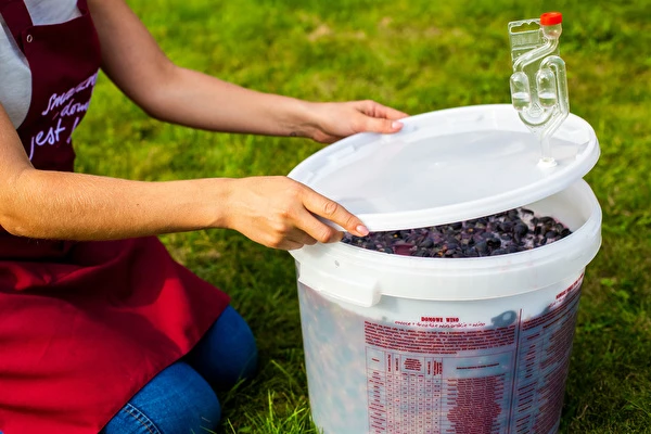 Kaip pasigaminti vyną žingsnis po žingsnio?